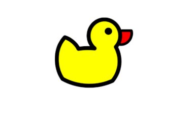 DuckDNS Nasıl Kullanılır?